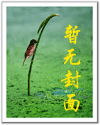 海贼王之复仇者封面