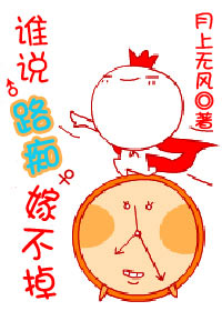 谁说路痴嫁不掉封面
