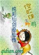 纯阳仙剑奇侠传封面
