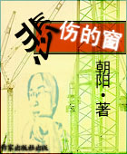 悲伤的窗封面