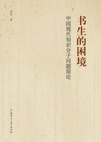 书生的困境封面