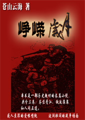 峥嵘岁月封面