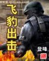 飞豹出击封面