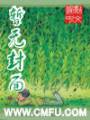 旗门封面