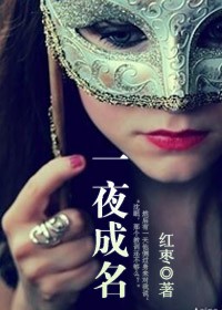 一夜成名封面