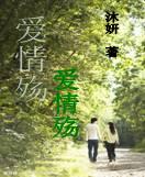 爱情殇封面