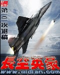 长空英豪封面