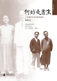 何妨是书生封面