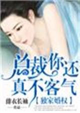 独家婚权,总裁你还真不客气封面