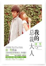 我的老公大人-我的总裁大人封面