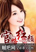 官路红颜封面