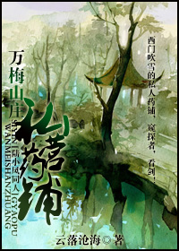 万梅山庄私营药铺封面