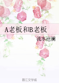 a老板和b老板封面