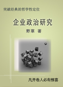 企业政治研究封面