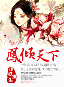 凤倾天下封面