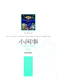 小闲事封面