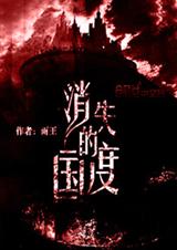 消失的国度封面