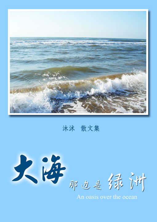 大海那边是绿洲封面