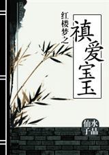 红楼梦之禛爱宝玉封面