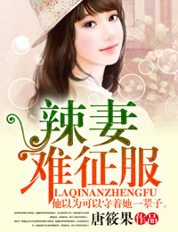 辣妻,难征服封面