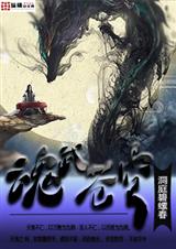 魂武苍穹封面