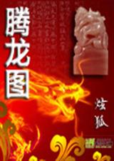 腾龙图封面