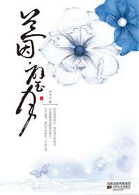兰因·璧月封面