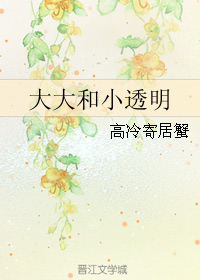 大大和小透明封面