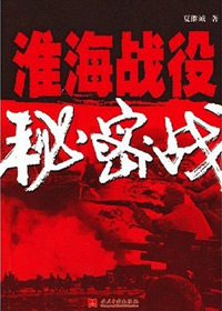 淮海战役秘密战封面