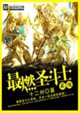 ��ȼʥ��ʿϵͳ