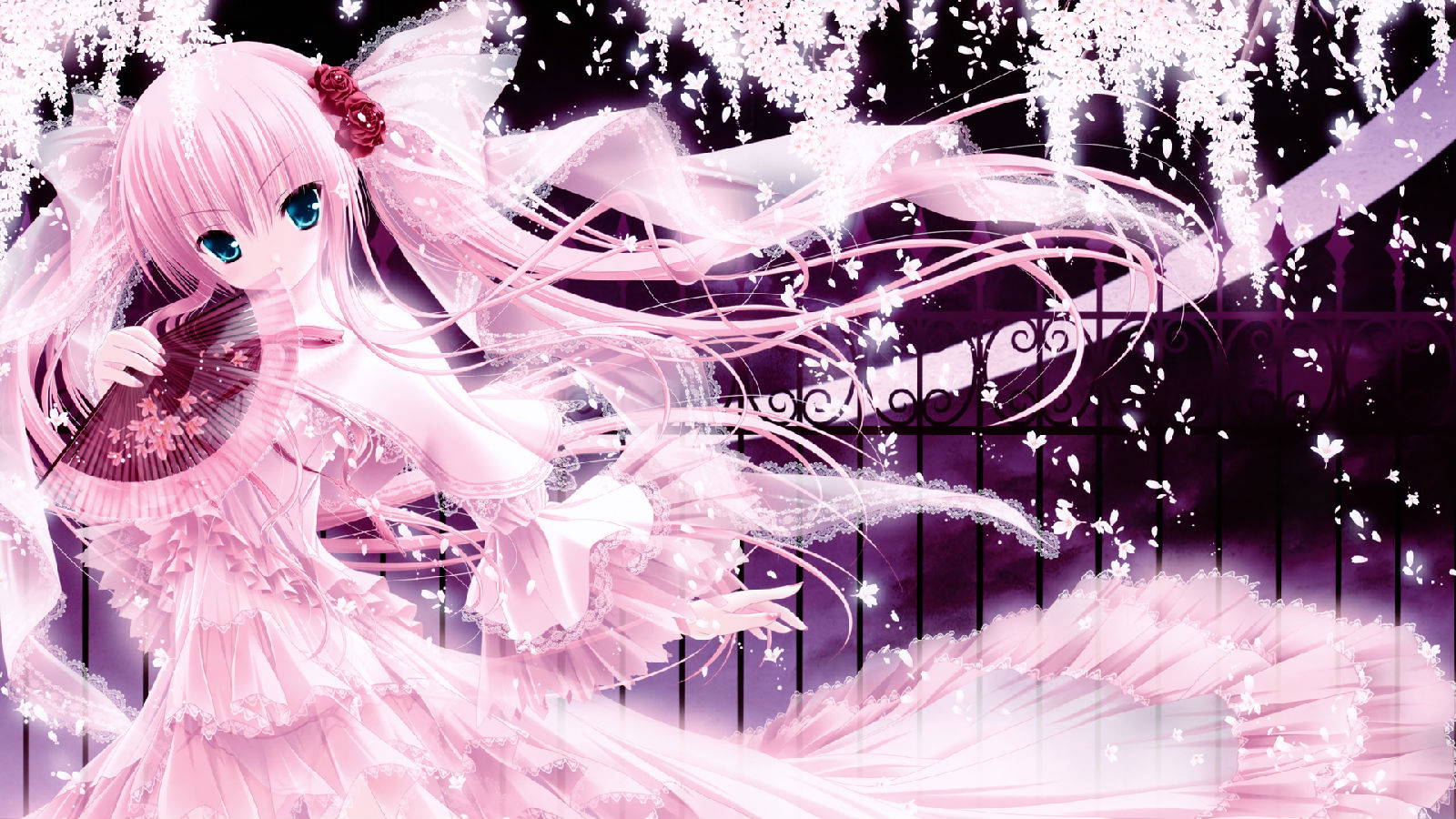 α��ʿ����������