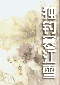 独钓寒江雪封面