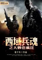 西域兵魂之大赖也疯狂封面
