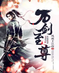万剑至尊封面