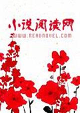 非芬之想封面