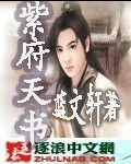 紫府天书封面