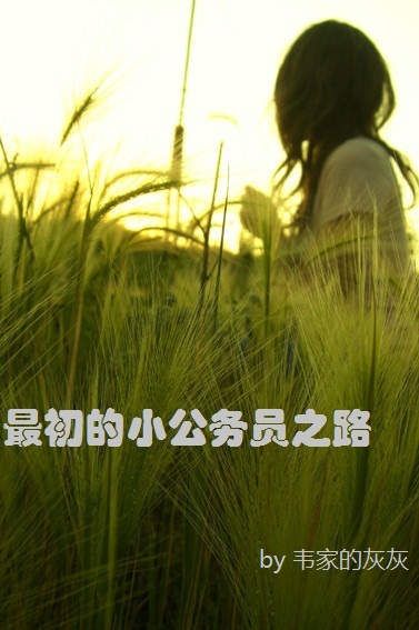 最初的小公务员之路封面