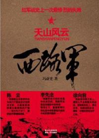 西路军·天山风云封面