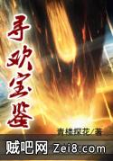 寻欢宝鉴封面