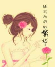 随风而逝的繁华封面