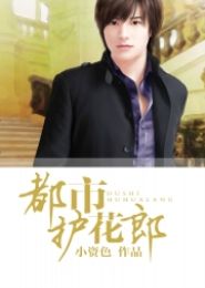 都市护花郎封面