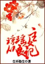 琼瑶女主从良记封面