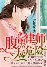 一路上有你,律师老公太危险封面