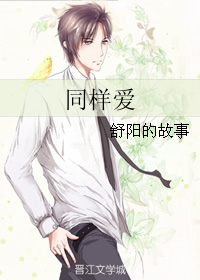 同样爱封面