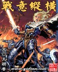 战意纵横封面