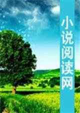 穿越之傲妃为王封面