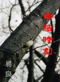 终结时刻--美利坚恩仇记封面