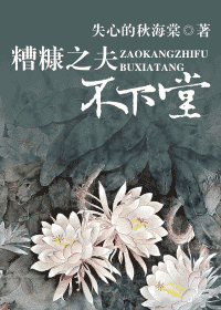 糟糠之夫不下堂封面