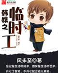 韩娱之临时工封面