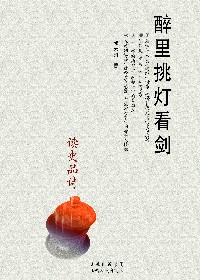 醉里挑灯看剑封面